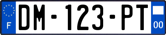 DM-123-PT