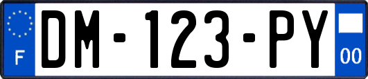 DM-123-PY