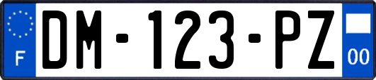 DM-123-PZ