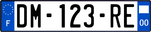 DM-123-RE