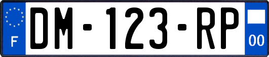 DM-123-RP
