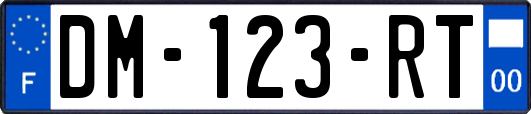 DM-123-RT