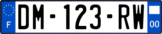 DM-123-RW