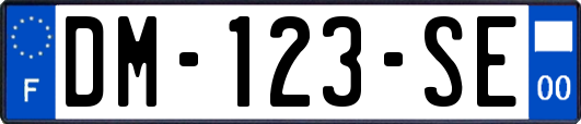 DM-123-SE