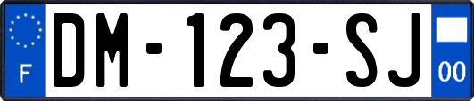 DM-123-SJ