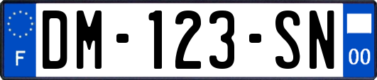 DM-123-SN