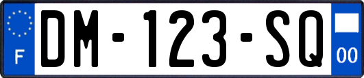 DM-123-SQ