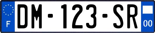 DM-123-SR