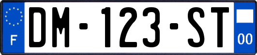 DM-123-ST