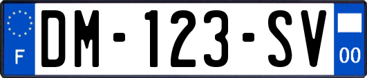 DM-123-SV