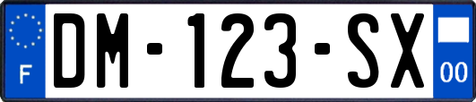 DM-123-SX