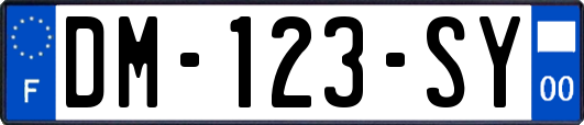 DM-123-SY