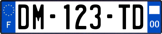 DM-123-TD