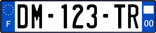 DM-123-TR