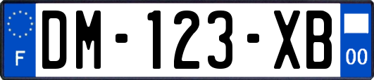 DM-123-XB