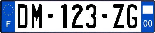 DM-123-ZG