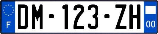 DM-123-ZH