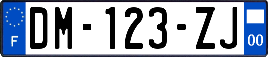 DM-123-ZJ