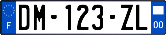 DM-123-ZL