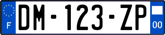 DM-123-ZP