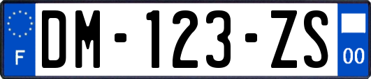 DM-123-ZS