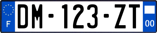 DM-123-ZT