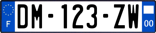 DM-123-ZW