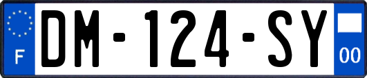 DM-124-SY