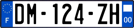 DM-124-ZH