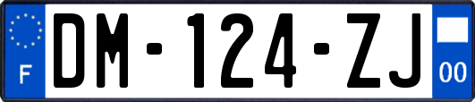 DM-124-ZJ