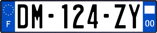 DM-124-ZY