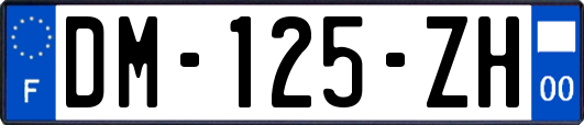 DM-125-ZH