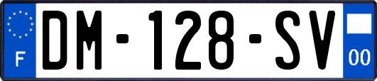 DM-128-SV