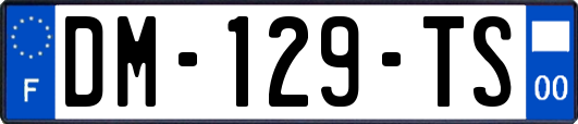 DM-129-TS