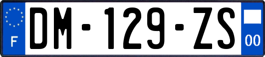 DM-129-ZS