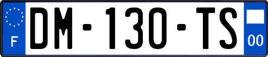 DM-130-TS
