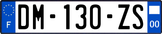 DM-130-ZS