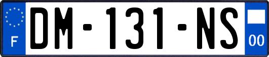 DM-131-NS