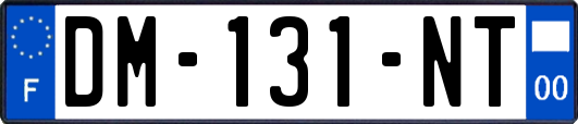 DM-131-NT