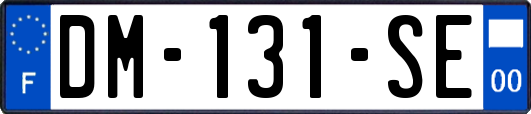 DM-131-SE