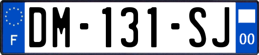 DM-131-SJ