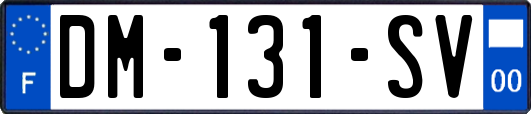 DM-131-SV