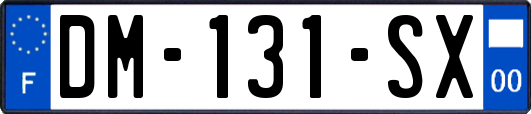 DM-131-SX