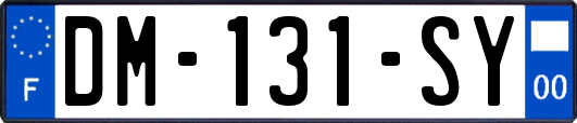 DM-131-SY