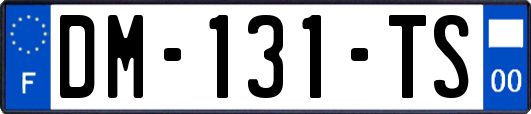 DM-131-TS
