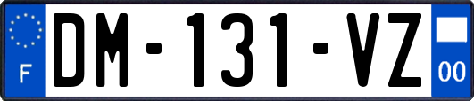 DM-131-VZ