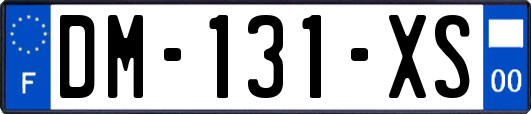 DM-131-XS