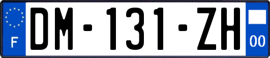 DM-131-ZH