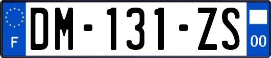 DM-131-ZS