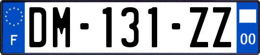 DM-131-ZZ